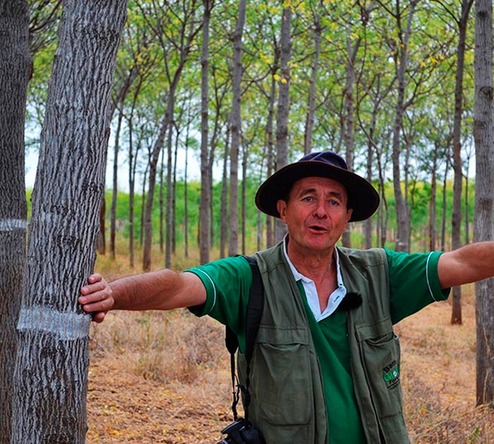 Jan Vandenabeele, Senior Director Forestry