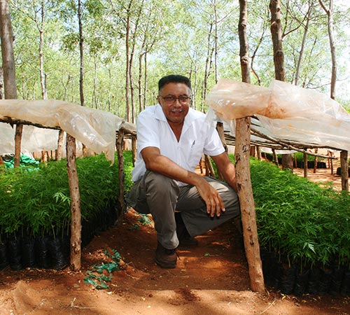 Better Globe Forestry, CEO